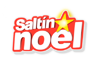saltin-noel logo