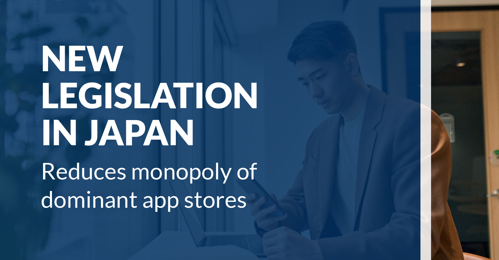 monopoly legislation japan