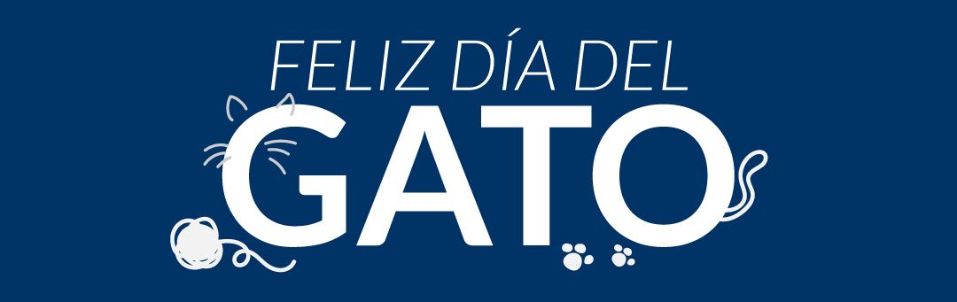 dia del gato