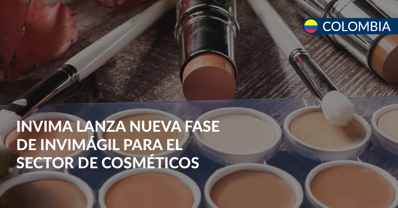 invimagil para cosmeticos invimagil para cosmeticos