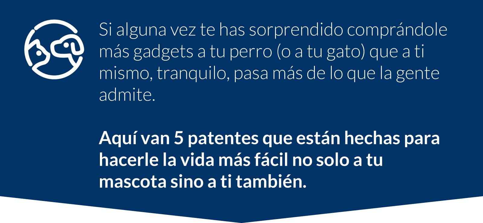 patentes para mascotas