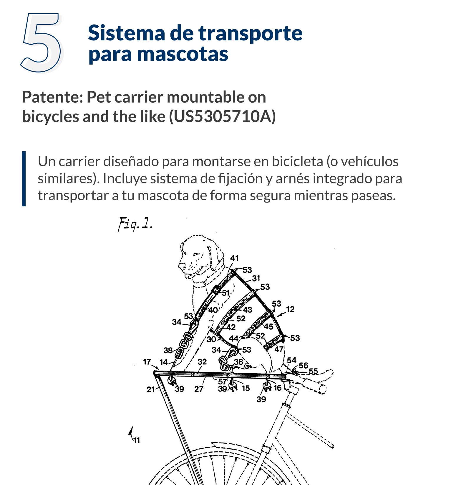 transporte para mascotas