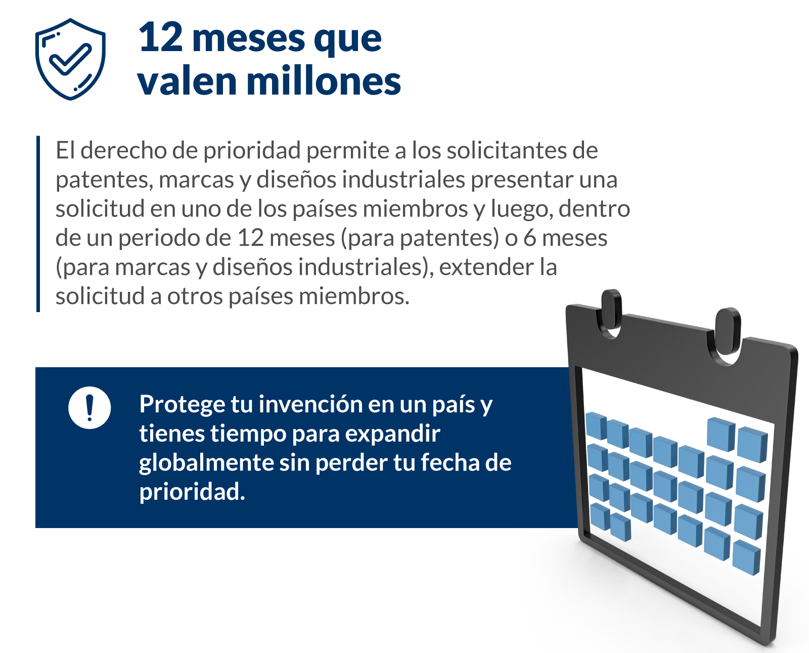 12 meses solicitudes