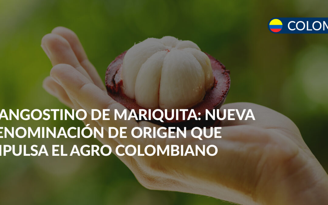 denominacion de origen al mangostino