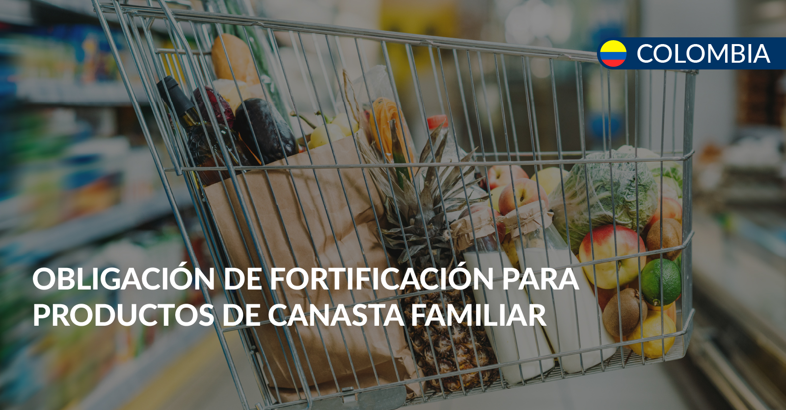 fortificacion canasta familiar