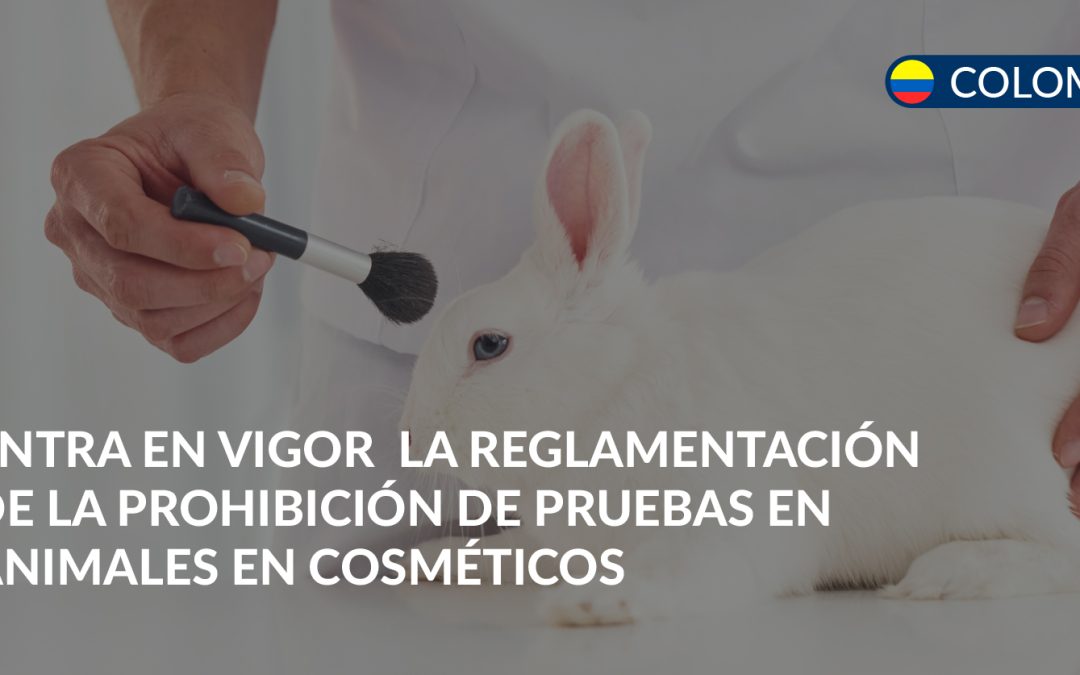 prohibición de pruebas