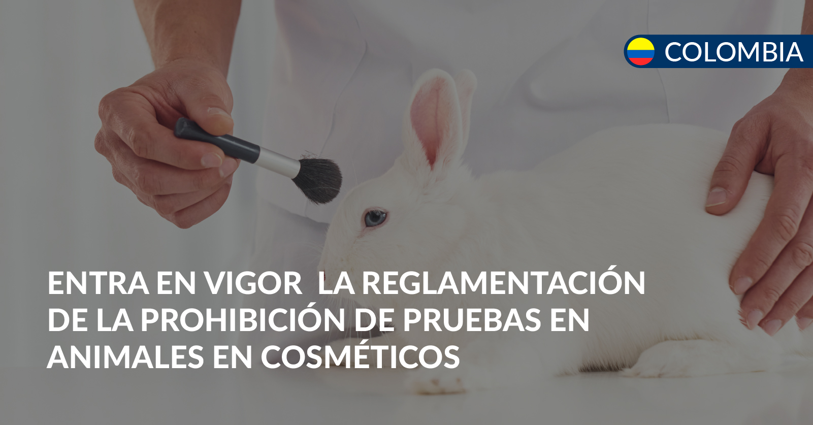prohibición de pruebas