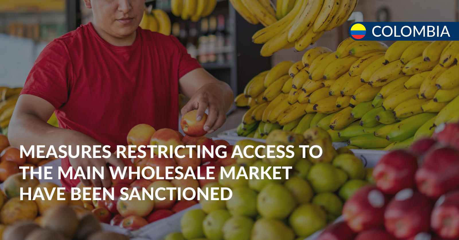 wholesale market wholesale market
