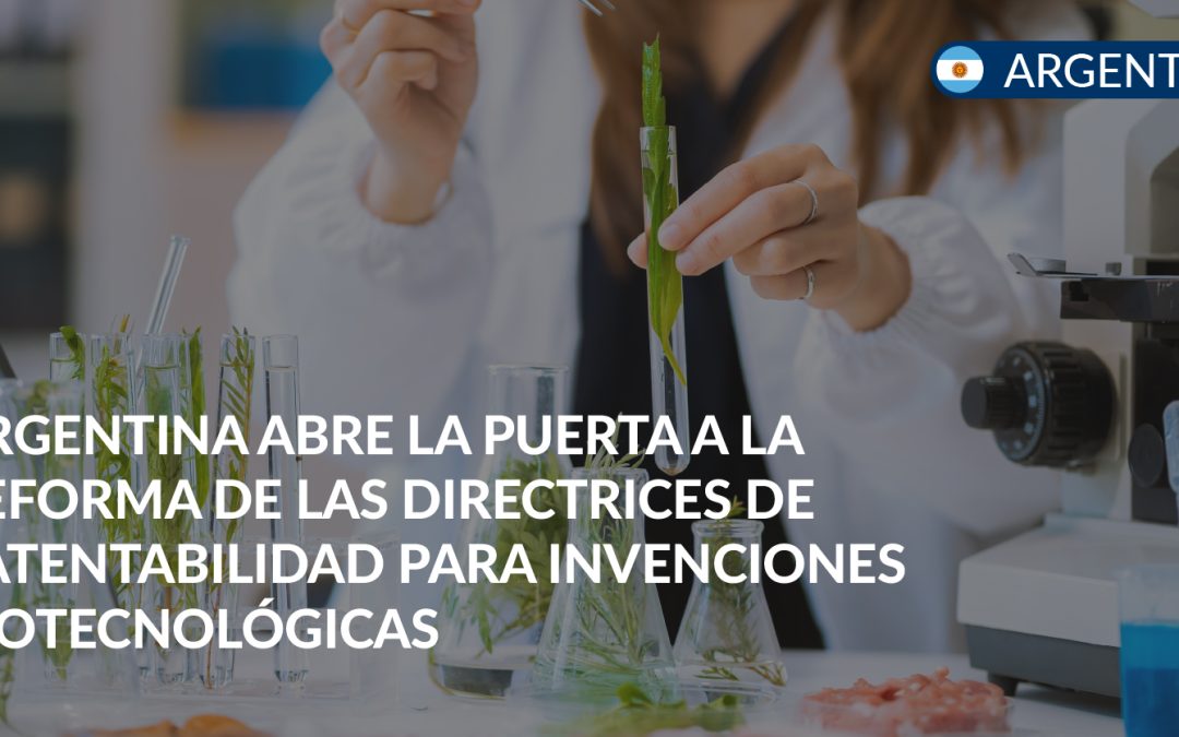directrices patentabilidad argentina