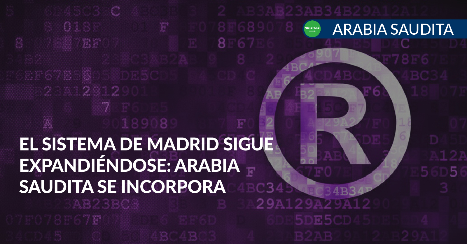 protocolo de madrid arabia saudita protocolo de madrid arabia saudita