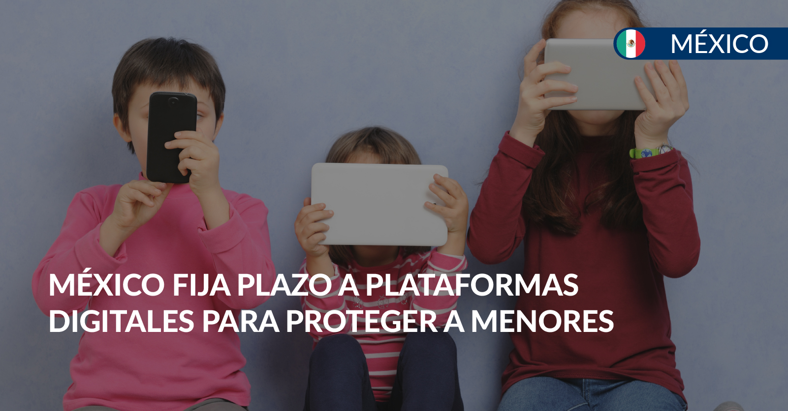 plataformas deberan proteger a menores plataformas deberan proteger a menores